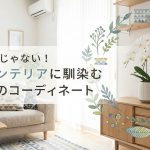 和室だけじゃない!北欧インテリアに馴染む胡蝶蘭のコーディネート